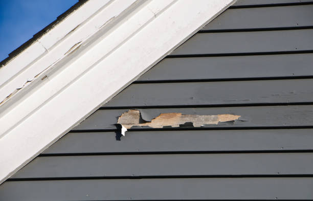 Best Demolition Debris Removal  in Henning, TN